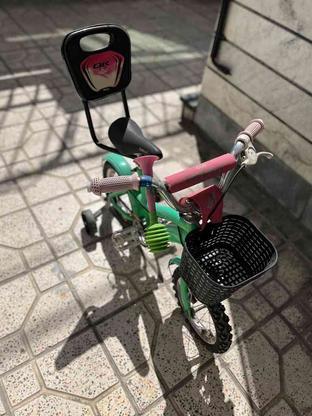 دوچرخه سالم در گروه خرید و فروش ورزش فرهنگ فراغت در البرز در شیپور-عکس1
