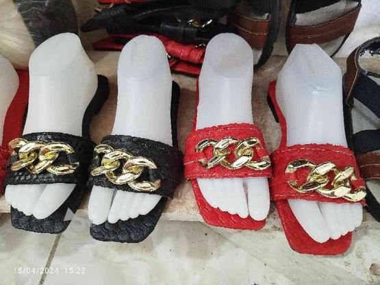 کفش زنانه و سبک در گروه خرید و فروش لوازم شخصی در کردستان در شیپور-عکس1
