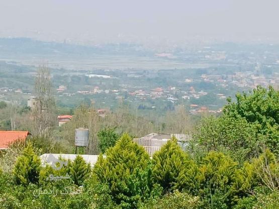 فروش زمین درارتفاعات قادیکلا در گروه خرید و فروش املاک در مازندران در شیپور-عکس1