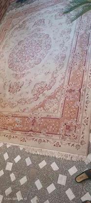 فرش 12متری بسیارزیبا وقشنگ وگوشتی بدون پارگی در گروه خرید و فروش لوازم خانگی در مازندران در شیپور-عکس1