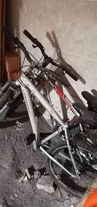 فروش دو دوچرخه کنندل و فلش در گروه خرید و فروش ورزش فرهنگ فراغت در مازندران در شیپور-عکس1