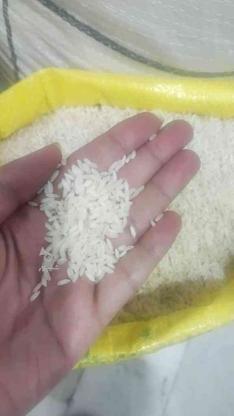 برنج عنبربوشوشتراعلا در گروه خرید و فروش خدمات و کسب و کار در خوزستان در شیپور-عکس1
