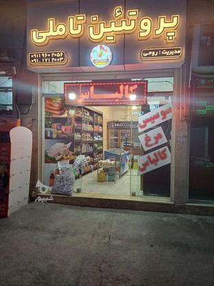 واگذاری پروتئینی ویلاشهر در گروه خرید و فروش خدمات و کسب و کار در گلستان در شیپور-عکس1