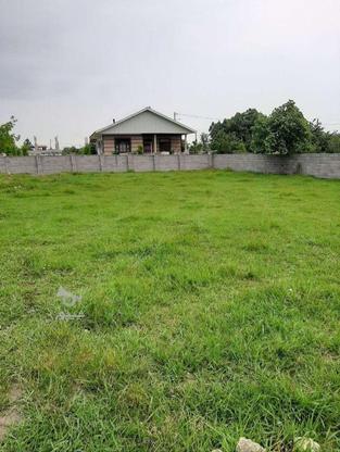 زمین کاملا مسکونی، سند تک برگ در گروه خرید و فروش املاک در گیلان در شیپور-عکس1