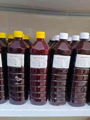 آب زرشک طبیعی و خالص در گروه خرید و فروش خدمات و کسب و کار در کرمان در شیپور-عکس1