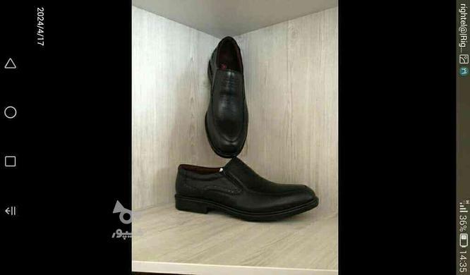 کفش رسمی و مجلسی سایز بزرگ 46_47 در گروه خرید و فروش لوازم شخصی در آذربایجان غربی در شیپور-عکس1