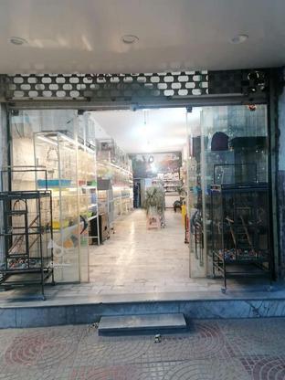 اجاره مغازه تجاری 120 متر در گروه خرید و فروش املاک در مازندران در شیپور-عکس1