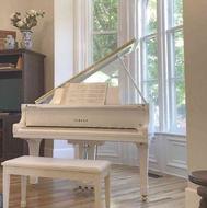 تدریس خصوصی پیانو مدرس خانوم
