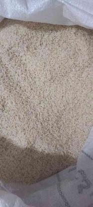 برنج سنگ طارم مقطوع در گروه خرید و فروش خدمات و کسب و کار در مازندران در شیپور-عکس1
