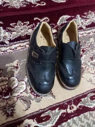 یک جفت کفش نو بجگونه برا پای پسرم کوچک هستن در گروه خرید و فروش لوازم شخصی در آذربایجان شرقی در شیپور-عکس1