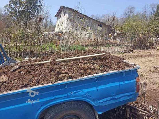 فروش کوت حیوانی و خاک باقچه در گروه خرید و فروش خدمات و کسب و کار در مازندران در شیپور-عکس1