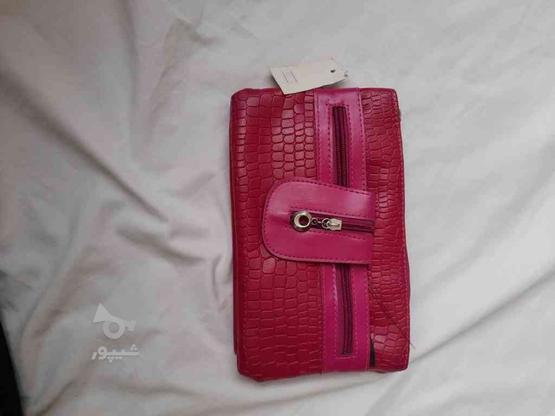 کیف های زیبا در گروه خرید و فروش لوازم شخصی در خراسان رضوی در شیپور-عکس1