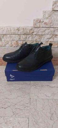 کفش چرم اسپرت در گروه خرید و فروش لوازم شخصی در تهران در شیپور-عکس1