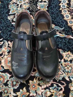 کفش تمام چرم نو در گروه خرید و فروش لوازم شخصی در تهران در شیپور-عکس1