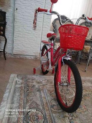 دوچرخه دخترانه سایز 20نو نو در گروه خرید و فروش ورزش فرهنگ فراغت در خراسان رضوی در شیپور-عکس1