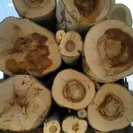 خرید چوب به قیمت روز هتا بلاتر