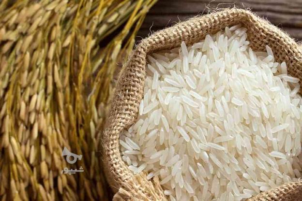 فروش 60 کیلو برنج طاروم اصل کشت زمین خودم در گروه خرید و فروش خدمات و کسب و کار در مازندران در شیپور-عکس1
