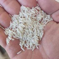 برنج شیرودی 200 کیلو