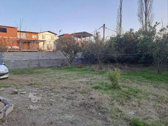 فروش زمین داخل بافت در گروه خرید و فروش املاک در مازندران در شیپور-عکس1