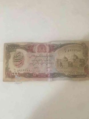 پول افغانی در گروه خرید و فروش ورزش فرهنگ فراغت در سمنان در شیپور-عکس1