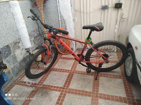 دوچرخه المپیا سالم سایز 26 در گروه خرید و فروش ورزش فرهنگ فراغت در مازندران در شیپور-عکس1