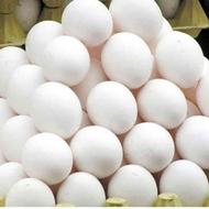 فروش تخم مرغ خوراکی