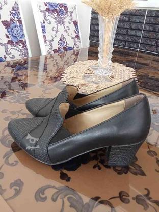 کفش شیک و نو در گروه خرید و فروش لوازم شخصی در آذربایجان غربی در شیپور-عکس1