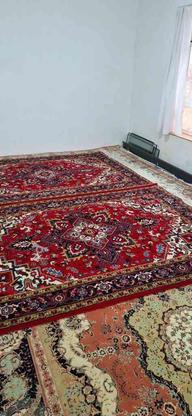 یک جفت فرش دستباف 6 متری نقشه تاجری هریس در گروه خرید و فروش لوازم خانگی در آذربایجان شرقی در شیپور-عکس1