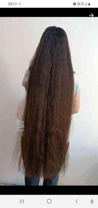 خریدار موی بالای 50 سانت در گروه خرید و فروش لوازم شخصی در آذربایجان شرقی در شیپور-عکس1