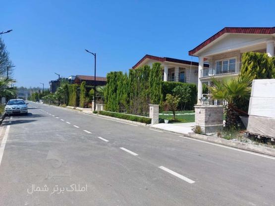 فروش زمین مسکونی 500 متر در چلک شهرکی قوی در گروه خرید و فروش املاک در مازندران در شیپور-عکس1