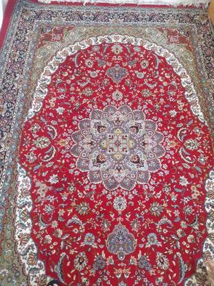 فرش قرمز شش متری تمیز بدون ایراد در گروه خرید و فروش لوازم خانگی در مازندران در شیپور-عکس1