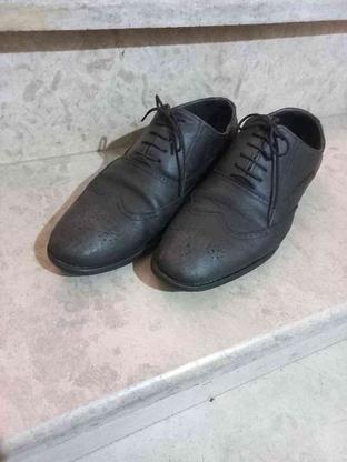 کفش مردانه نو در گروه خرید و فروش لوازم شخصی در گیلان در شیپور-عکس1