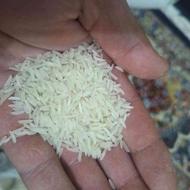 برنج فجر زیر قیمت