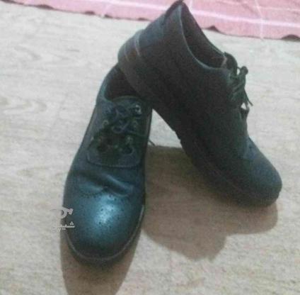 کفش مردانه سایز 40 در گروه خرید و فروش لوازم شخصی در سمنان در شیپور-عکس1