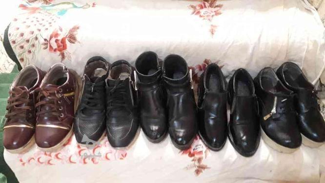 کفش زنانه سایز 38 39 40 در گروه خرید و فروش لوازم شخصی در فارس در شیپور-عکس1