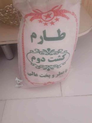 یک کیسه برنج کشت 2 طارم در گروه خرید و فروش خدمات و کسب و کار در تهران در شیپور-عکس1