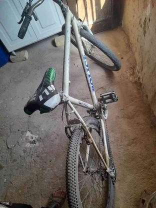 دوچرخه شماره 26 در گروه خرید و فروش ورزش فرهنگ فراغت در زنجان در شیپور-عکس1