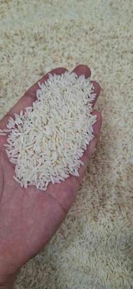 برنج طارم درجه یک (درگز) در گروه خرید و فروش خدمات و کسب و کار در خراسان رضوی در شیپور-عکس1