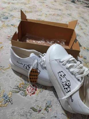 کفش پاندای بندی سفید دکسونری39 در گروه خرید و فروش لوازم شخصی در مازندران در شیپور-عکس1