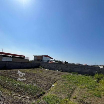فروش زمین مسکونی سه نبش 245 متر در کمانگرکلا در گروه خرید و فروش املاک در مازندران در شیپور-عکس1