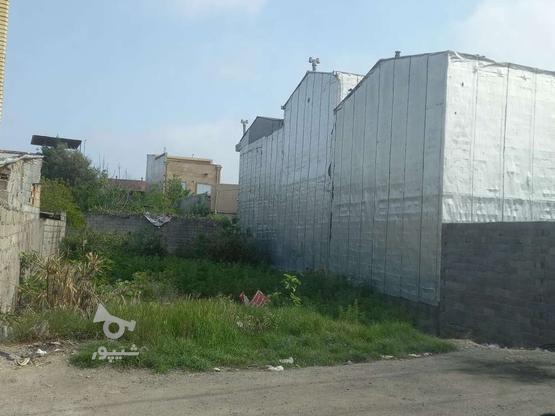 زمین مسکونی ب متراژ 150 متر با 11متر بر در گروه خرید و فروش املاک در مازندران در شیپور-عکس1