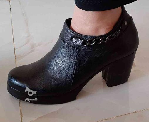 کفش زنانه سایز38 در گروه خرید و فروش لوازم شخصی در همدان در شیپور-عکس1