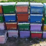 جعبه زنبور عسل