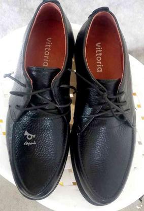 کفش چرم اصل سایز 39 در گروه خرید و فروش لوازم شخصی در تهران در شیپور-عکس1