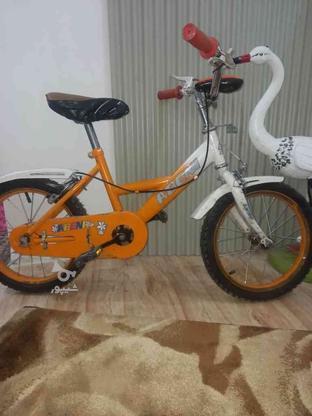 دوچرخه 16درحد در گروه خرید و فروش ورزش فرهنگ فراغت در البرز در شیپور-عکس1