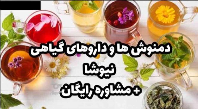 درمان بیماری با مشاوره و تجویز دمنوش های گیاهی در گروه خرید و فروش خدمات و کسب و کار در اصفهان در شیپور-عکس1