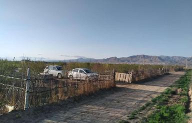 باغچه 820 متری در جاده احمد آباد
