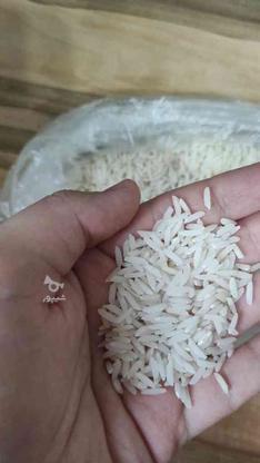برنج هاشمی درجه یک در گروه خرید و فروش خدمات و کسب و کار در گیلان در شیپور-عکس1