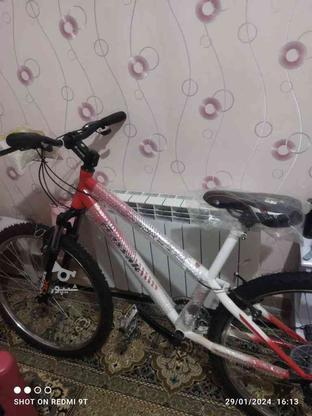 دوچرخه دنده ای سند دار نو در گروه خرید و فروش ورزش فرهنگ فراغت در خراسان رضوی در شیپور-عکس1