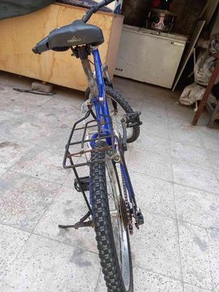 دوچرخه 20 سالم در گروه خرید و فروش ورزش فرهنگ فراغت در خراسان رضوی در شیپور-عکس1